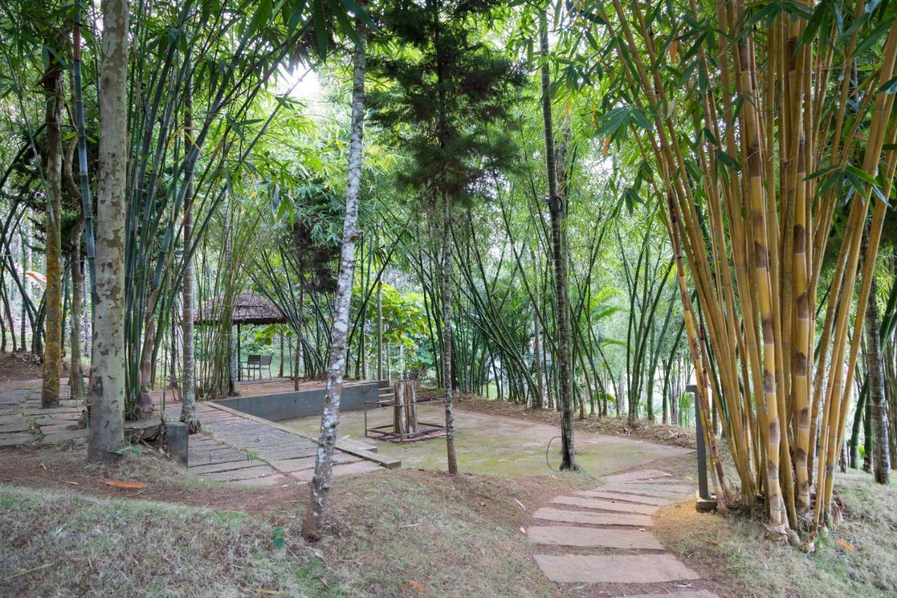 The Woods Resorts Wayanad Sultan Bathery Exterior foto